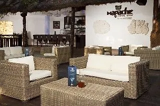 ***** 酒店 Sandos Caracol Eco Resort Select Club Adults Only 普拉亚卡门 墨西哥