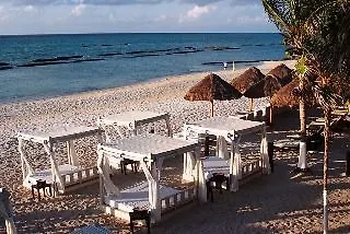 Sandos Caracol Eco Resort Select Club Adults Only 普拉亚卡门 酒店